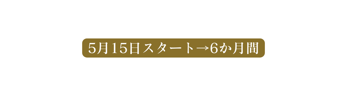 5月15日スタート 6か月間