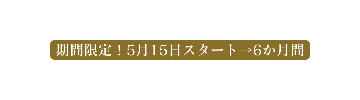 期間限定 5月15日スタート 6か月間