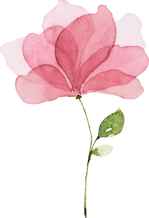 Pink Flower Watercolor Hand-Painted